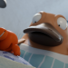 Nö-Nö Schnabeltier