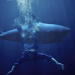 Shark Lake