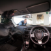 Hunde im Einsatz