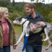 Tiere bis unters Dach
