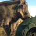 Das Waisenhaus für wilde Tiere