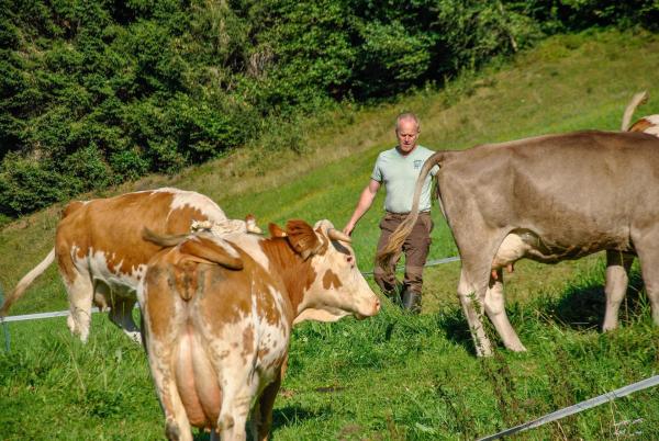 Bild 1 von 23: Im Bild: Bergbauer Hermann Grünwald auf der Weide in Eben.