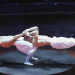 42. Internationales Zirkusfestival von Monte Carlo