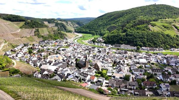 Bild 1 von 16: 