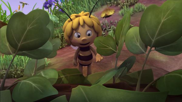 Bild 1 von 8: Majas Blume gedeiht prächtig.