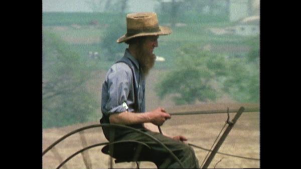 Bild 1 von 4: Auch die Amish haben deutsche Vorfahren.