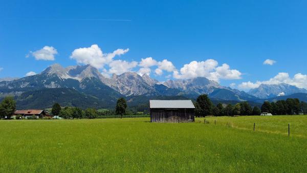Bild 1 von 1: .