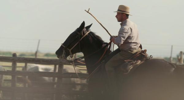 Bild 1 von 4: Auf der Azienda Regionale Agricola di Alberese arbeiten die letzten Cowboys der Toskana. Die italienischen Rinderhirten werden Butteri genannt.
