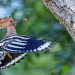 NETZ NATUR
