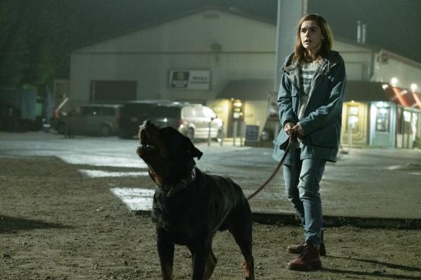 Bild 1 von 7: Ally Andrews (Kiernan Shipka)