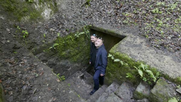 Bild 1 von 3: .