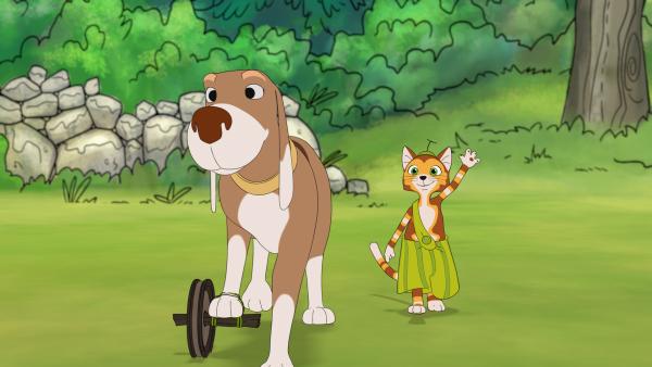 Bild 1 von 5: Findus und der am Fuß verletzte Harpo kommen fröhlich zum Hof zurück. Sie haben einen Trick gefunden, wie Harpo nicht auftreten muss.