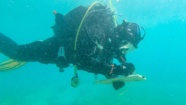 Bild 1 von 7: Pfahlbauten, Attersee, Taucher.