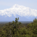 Alaska - Mit dem Zug durch die Wildnis