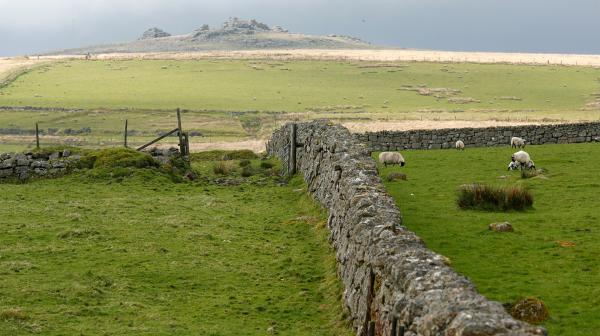 Bild 1 von 8: Mauer im Dartmoor. Hier trieb der legendäre Hund von Baskerville sein Unwesen.