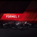 Formel 1: Das Rennen