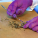 Medical Detectives - Geheimnisse der Gerichtsmedizin
