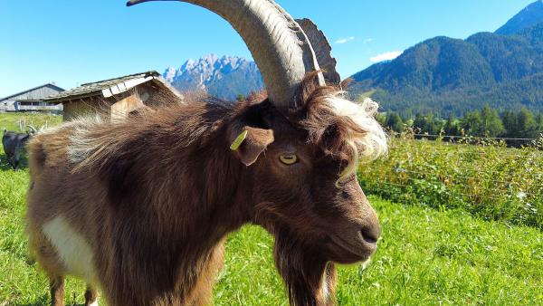 Bild 1 von 1: .