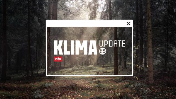 Bild 1 von 1: Das Logo zu