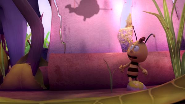 Bild 1 von 5: Willi fürchtet sich vor dem kleinsten Schatten.