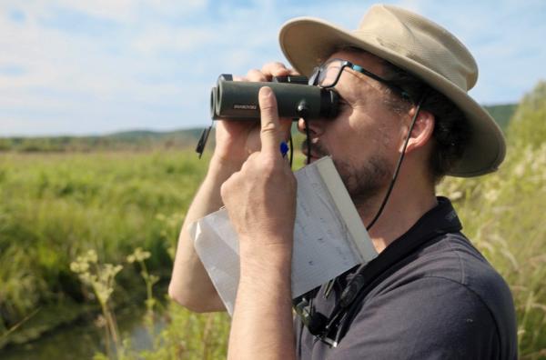 Bild 1 von 4: Der Ornithologe Gèraud Ranvier studiert die Vogelwelt im Sumpfgebiet des Marais Vernier.