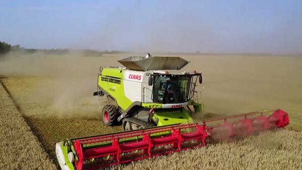 Bild 1 von 1: Erntezeit in Vorpommern: Leistungsstarke Mähdrescher wie dieser gehören zu den unverzichtbaren Landmaschinen.