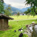 Bergsommer im Kleinarltal