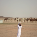 Saudi-Arabien - Öl,Tradition und Zukunft