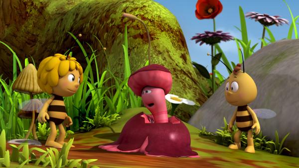 Bild 1 von 5: Max möchte keine zermatschten Früchte mehr essen.