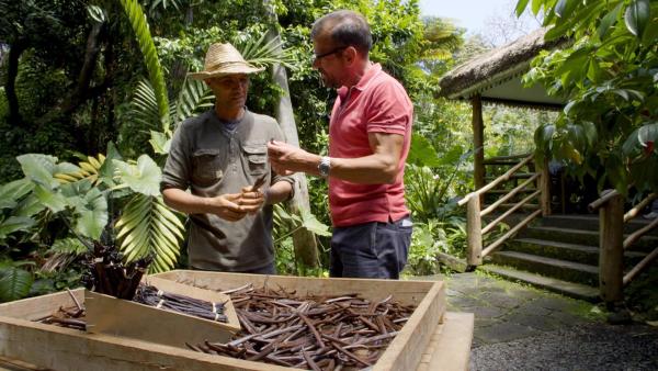 Bild 1 von 10: Im Bild: Gespräch mit Patrick Fontaine über die hier heimische Vanille