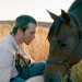 The Rider