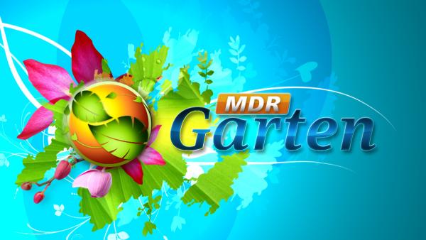 Bild 1 von 3: Logo