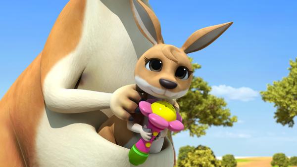 Bild 1 von 4: Das Kängurubaby hat Rubys Mikrofon.