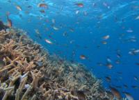 Asiens Ozeane im Wandel