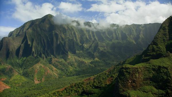 Bild 1 von 34: Im Bild: Landschaftlich beeindruckend und vom Regenwald überzogen sind die vulkanischen Berghänge der Na Pali Küste auf Kauai.