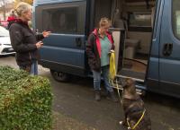 Alltagskämpfer - So tickt Deutschland!