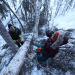 Life Below Zero: Next Generation