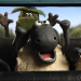 Shaun das Schaf
