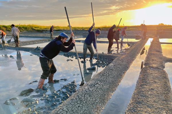 Bild 1 von 4: Die berühmten Salzgärten von Noirmoutier müssen jedes Frühjahr mühsam gereinigt und instand gesetzt werden. Saunier - Salzbauer - ist ein körperlich anstrengender Beruf, der ohne moderne Technik auskommen muss.
