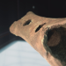Strangest Things Folge 27