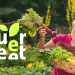 Querbeet