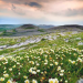 Natura Europa