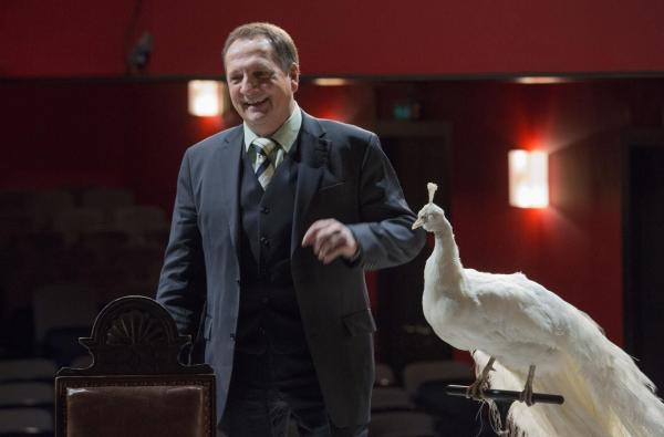 Bild 1 von 1: Richter Greinert (Thomas Kügel)