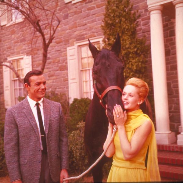 Bild 1 von 5: Der junge Verleger Mark Rutland (Sean Connery, l.) will die Ursache für Marnies (Tippi Hedren, r.) Kleptomanie herausfinden ...