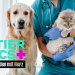 Die Tier-Docs! Pfotenhelden mit Herz