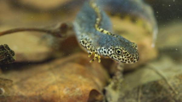 Bild 1 von 18: Wilde Schlösser