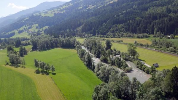 Bild 1 von 16: Im Bild: Die Enns und Altarme.