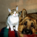 Bild 14