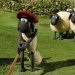 Shaun das Schaf