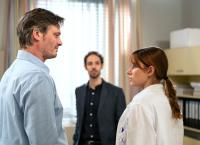 Die Fallers - Die SWR Schwarzwaldserie